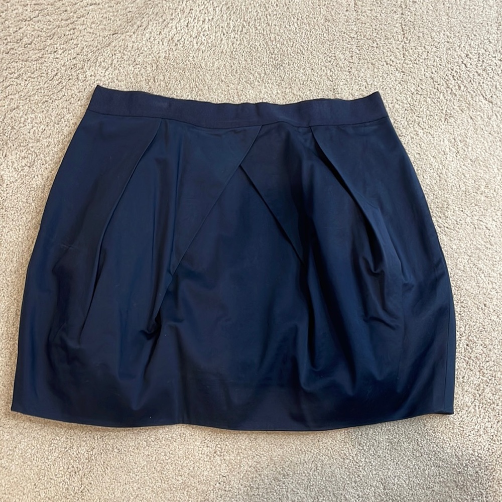 Jcrew skirt